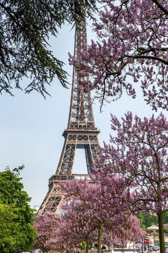 <span  class="uc_style_uc_tiles_grid_image_elementor_uc_items_attribute_title" style="color:#ffffff;">3224</span>