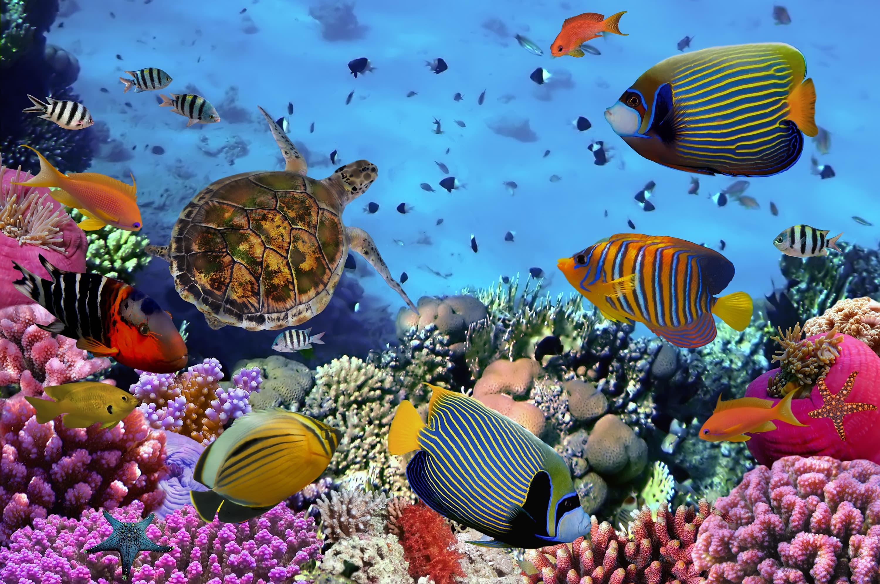<span  class="uc_style_uc_tiles_grid_image_elementor_uc_items_attribute_title" style="color:#ffffff;">3235</span>