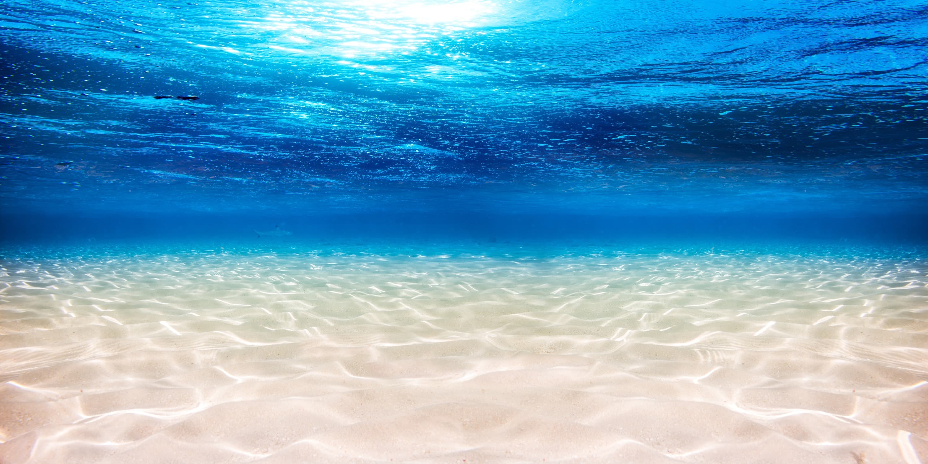 <span  class="uc_style_uc_tiles_grid_image_elementor_uc_items_attribute_title" style="color:#ffffff;">3262</span>