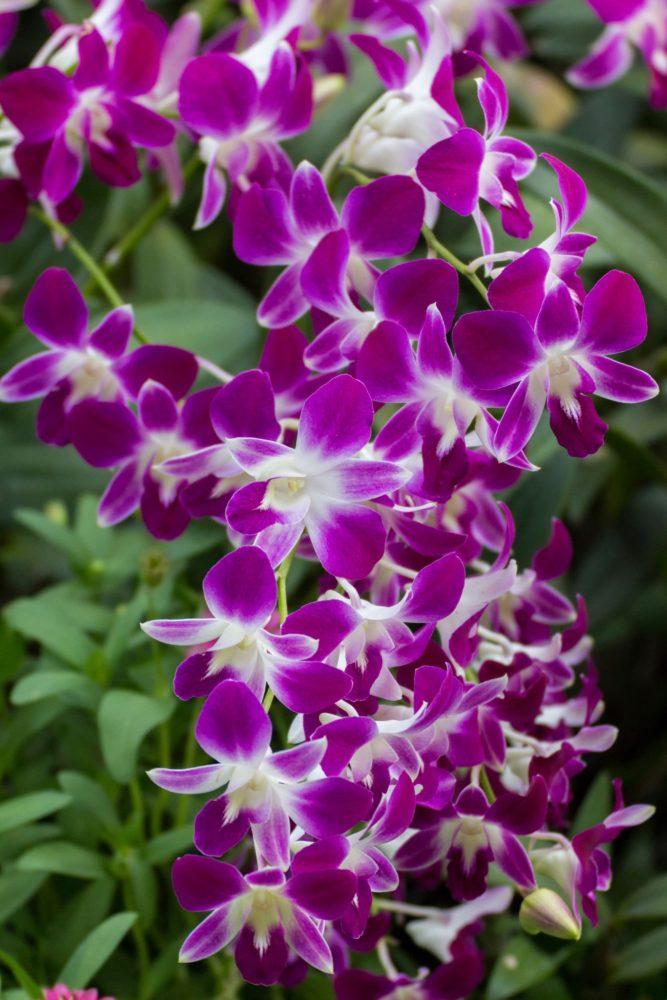 <span  class="uc_style_uc_tiles_grid_image_elementor_uc_items_attribute_title" style="color:#ffffff;">3335</span>