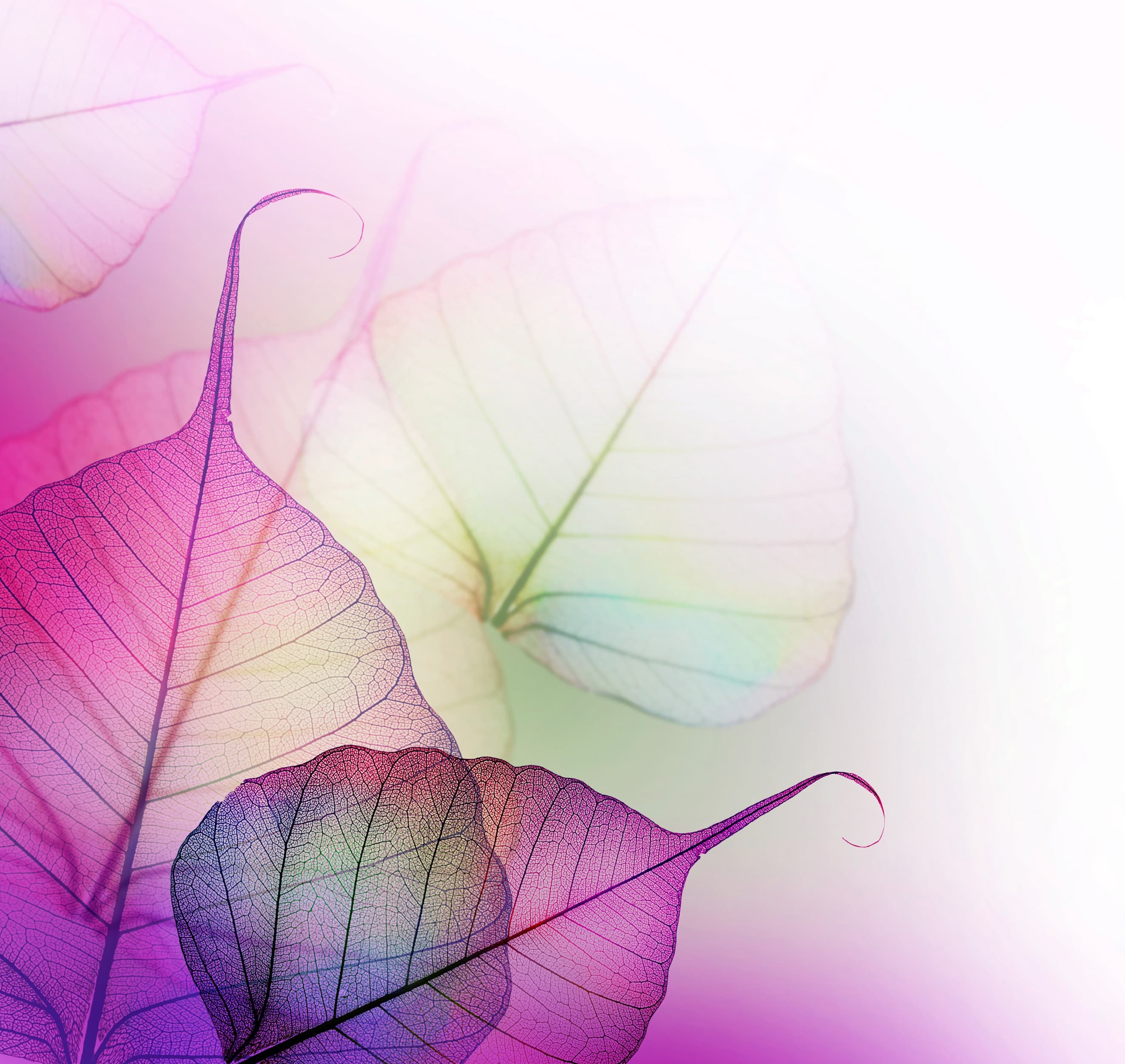 <span  class="uc_style_uc_tiles_grid_image_elementor_uc_items_attribute_title" style="color:#ffffff;">3366</span>