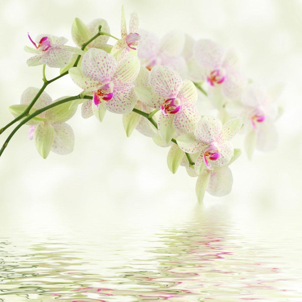 <span  class="uc_style_uc_tiles_grid_image_elementor_uc_items_attribute_title" style="color:#ffffff;">3368</span>