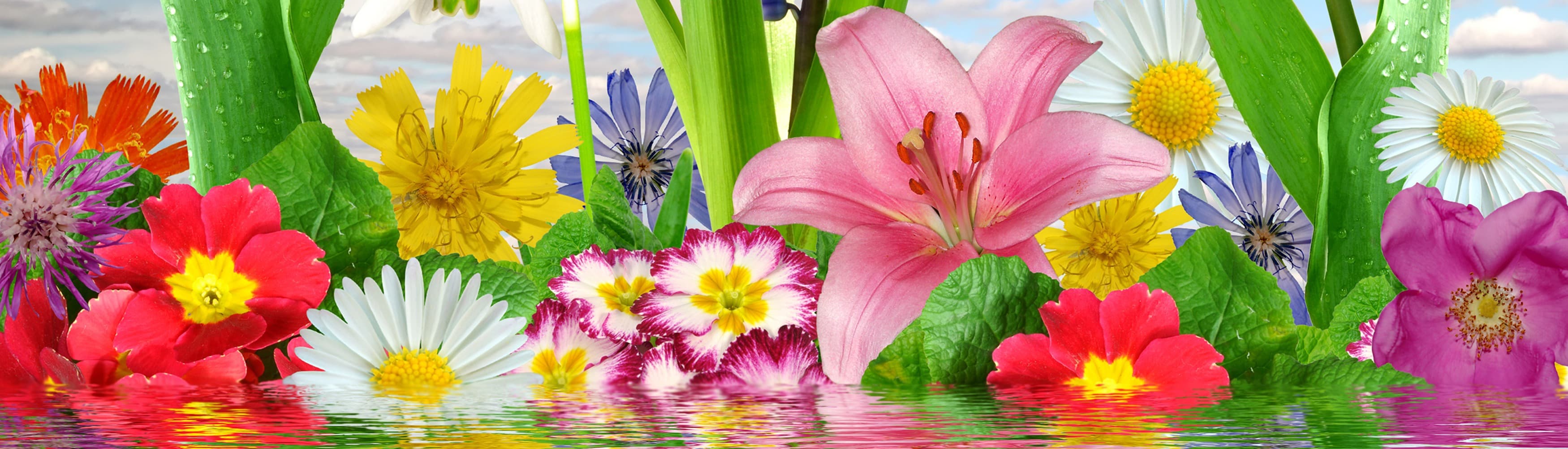 <span  class="uc_style_uc_tiles_grid_image_elementor_uc_items_attribute_title" style="color:#ffffff;">3422</span>
