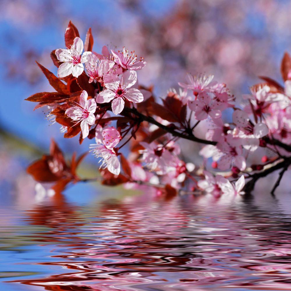<span  class="uc_style_uc_tiles_grid_image_elementor_uc_items_attribute_title" style="color:#ffffff;">3430</span>