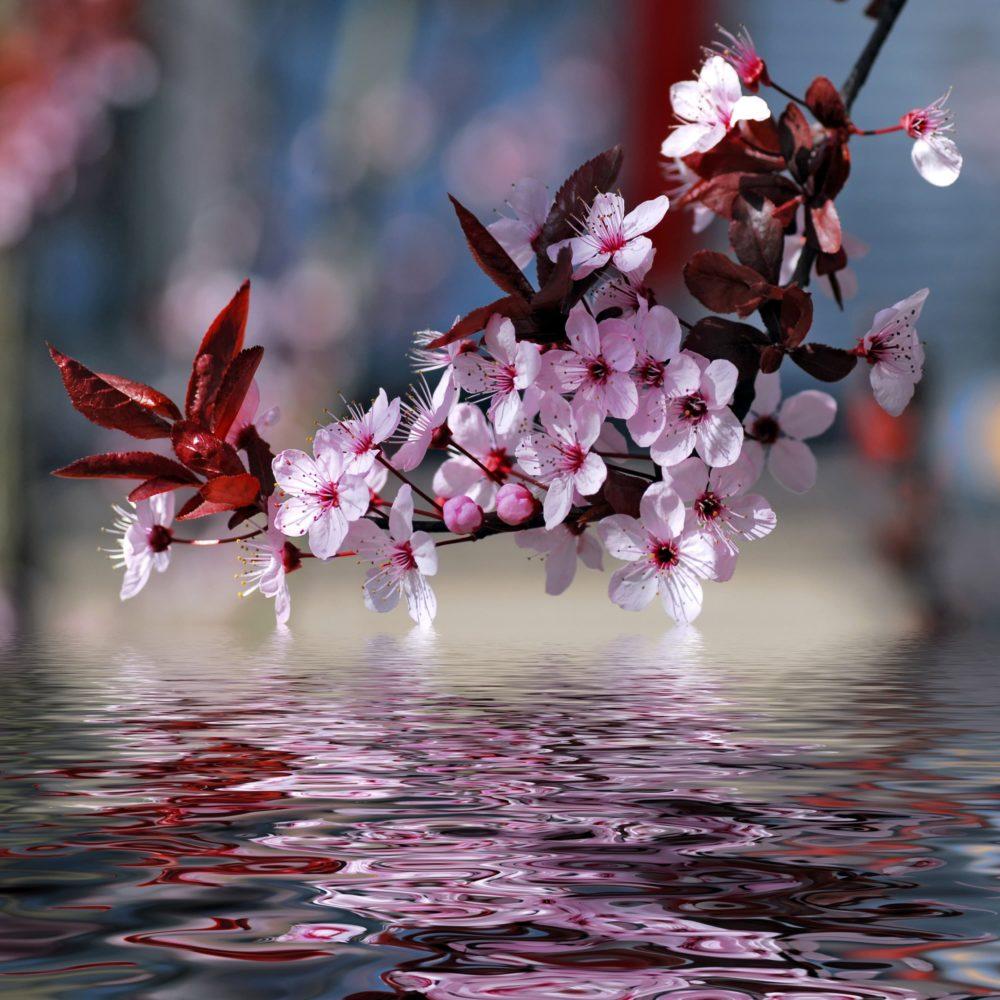 <span  class="uc_style_uc_tiles_grid_image_elementor_uc_items_attribute_title" style="color:#ffffff;">3431</span>