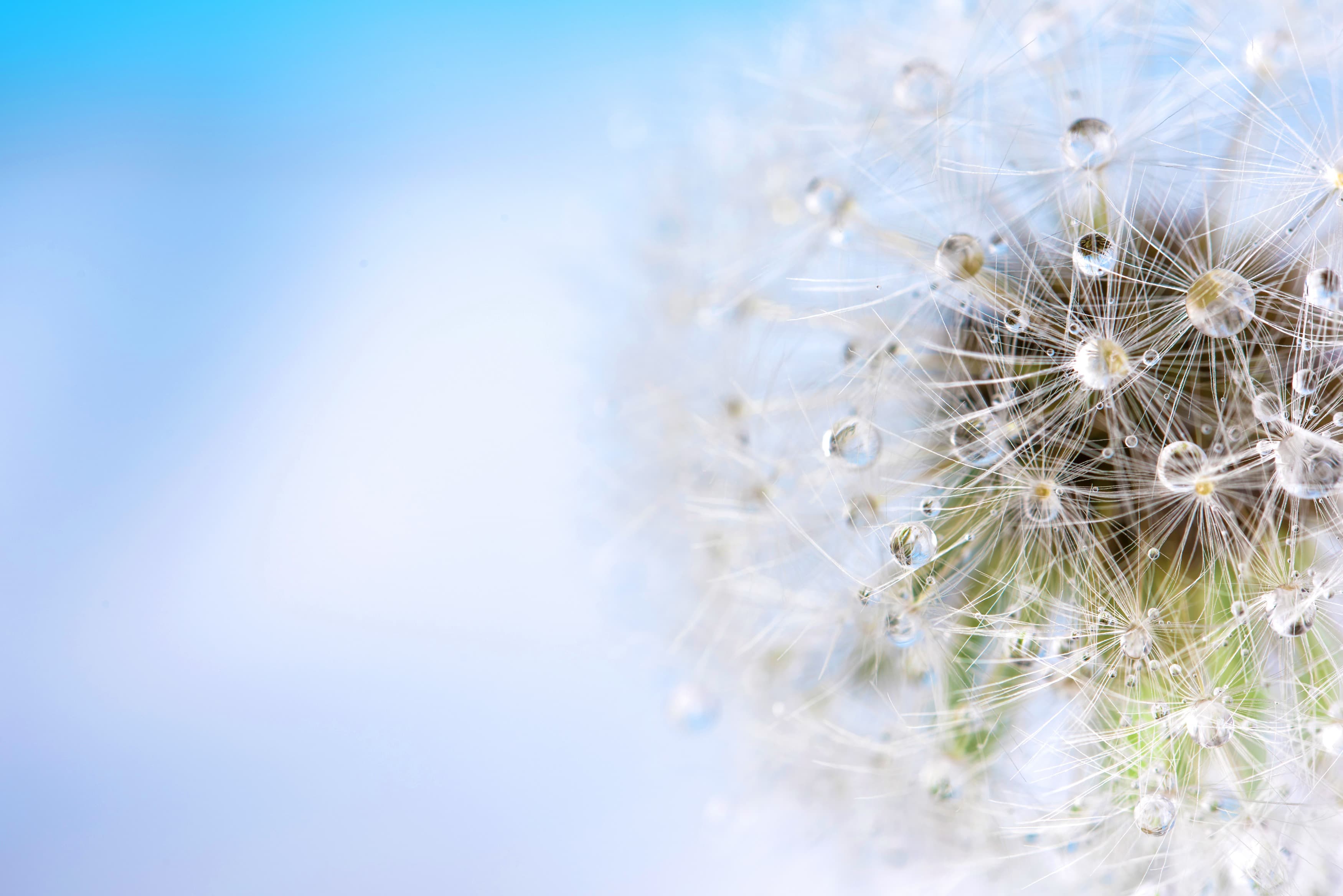 <span  class="uc_style_uc_tiles_grid_image_elementor_uc_items_attribute_title" style="color:#ffffff;">3505</span>