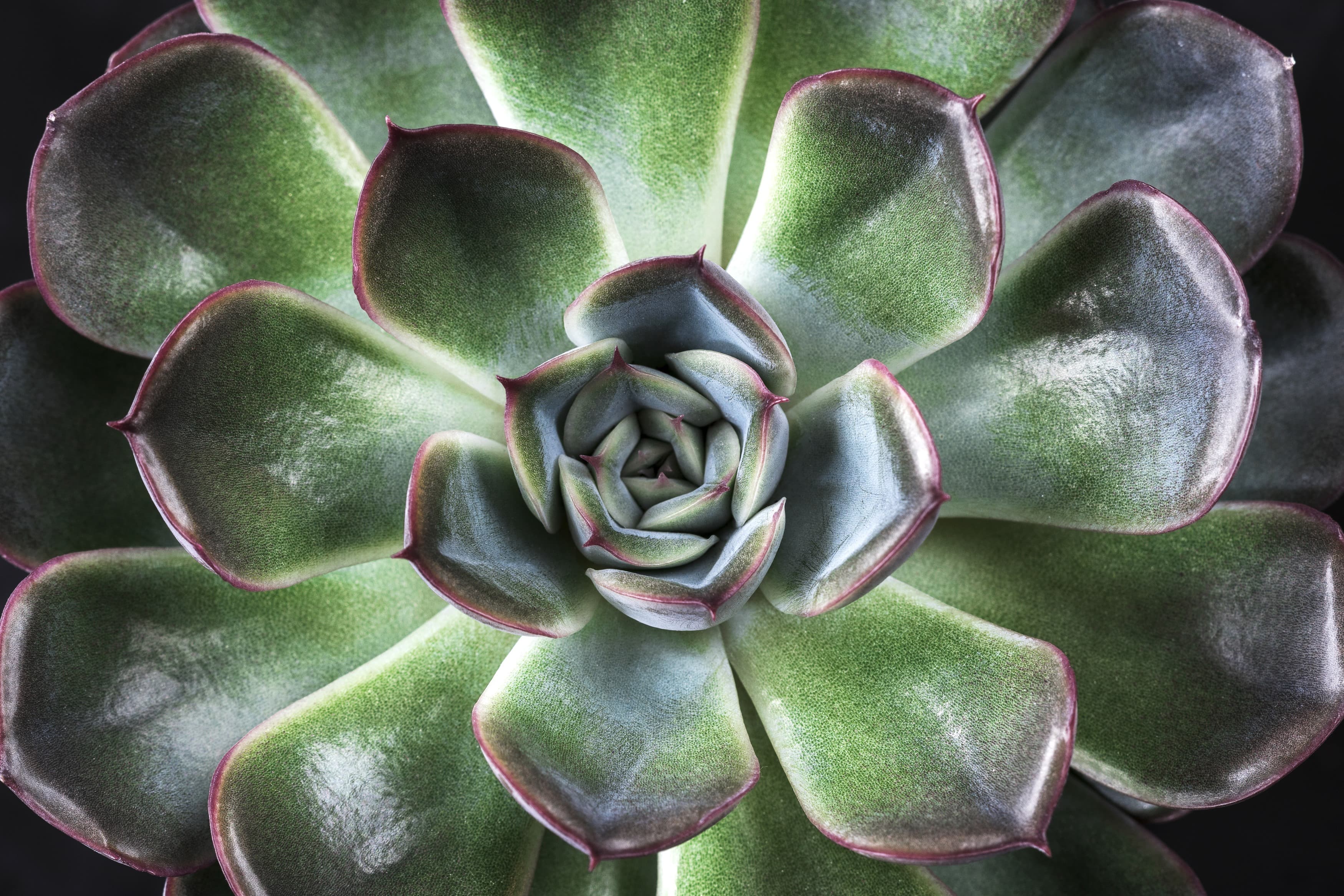 <span  class="uc_style_uc_tiles_grid_image_elementor_uc_items_attribute_title" style="color:#ffffff;">3517</span>