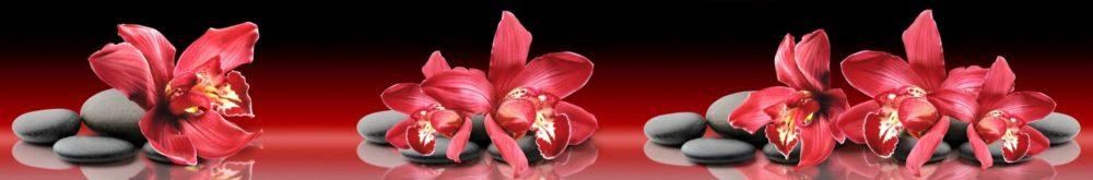 <span  class="uc_style_uc_tiles_grid_image_elementor_uc_items_attribute_title" style="color:#ffffff;">skinali-0038</span>