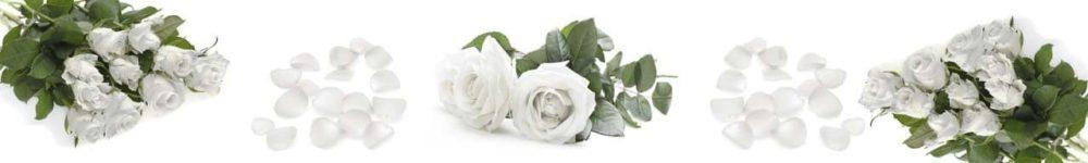 <span  class="uc_style_uc_tiles_grid_image_elementor_uc_items_attribute_title" style="color:#ffffff;">skinali 0042</span>