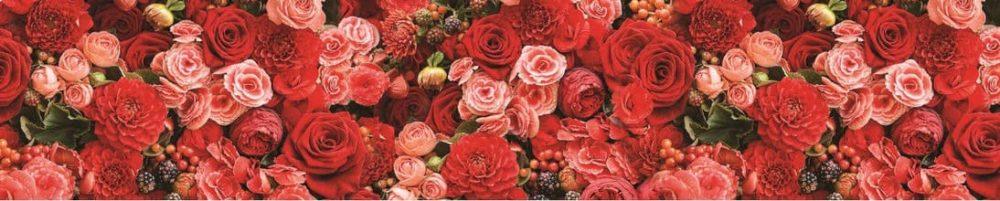 <span  class="uc_style_uc_tiles_grid_image_elementor_uc_items_attribute_title" style="color:#ffffff;">skinali 0043</span>