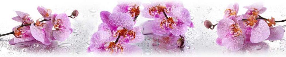 <span  class="uc_style_uc_tiles_grid_image_elementor_uc_items_attribute_title" style="color:#ffffff;">skinali 0127</span>