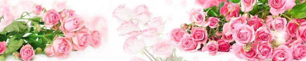 <span  class="uc_style_uc_tiles_grid_image_elementor_uc_items_attribute_title" style="color:#ffffff;">skinali 0260</span>