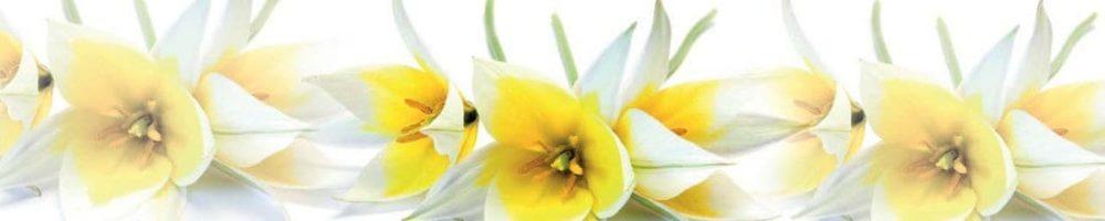 <span  class="uc_style_uc_tiles_grid_image_elementor_uc_items_attribute_title" style="color:#ffffff;">skinali 0292</span>