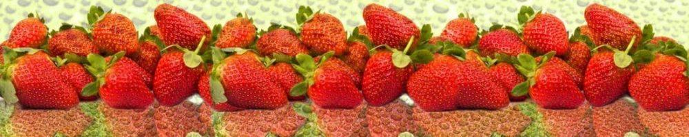 <span  class="uc_style_uc_tiles_grid_image_elementor_uc_items_attribute_title" style="color:#ffffff;">skinali 0505</span>
