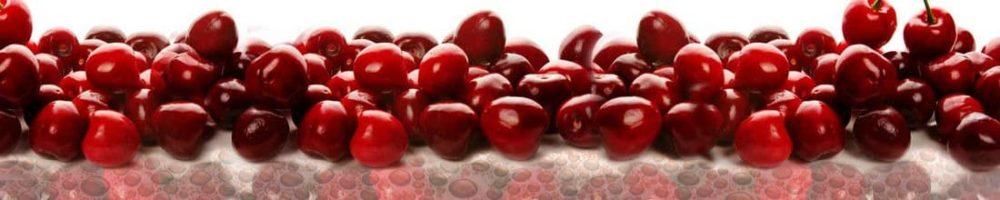 <span  class="uc_style_uc_tiles_grid_image_elementor_uc_items_attribute_title" style="color:#ffffff;">skinali 0506</span>