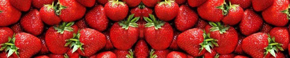<span  class="uc_style_uc_tiles_grid_image_elementor_uc_items_attribute_title" style="color:#ffffff;">skinali 0537</span>