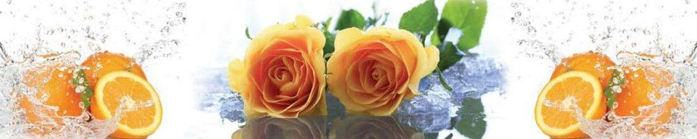 <span  class="uc_style_uc_tiles_grid_image_elementor_uc_items_attribute_title" style="color:#ffffff;">skinali 0549</span>