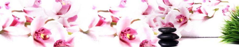 <span  class="uc_style_uc_tiles_grid_image_elementor_uc_items_attribute_title" style="color:#ffffff;">skinali 0647</span>