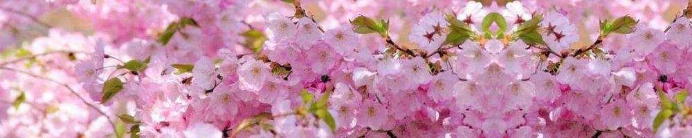 <span  class="uc_style_uc_tiles_grid_image_elementor_uc_items_attribute_title" style="color:#ffffff;">skinali 0660</span>