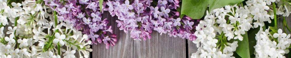 <span  class="uc_style_uc_tiles_grid_image_elementor_uc_items_attribute_title" style="color:#ffffff;">skinali 0666</span>