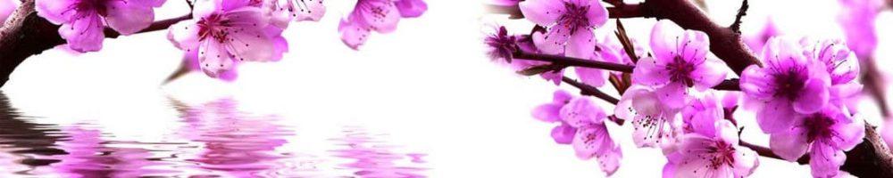 <span  class="uc_style_uc_tiles_grid_image_elementor_uc_items_attribute_title" style="color:#ffffff;">skinali 0671</span>