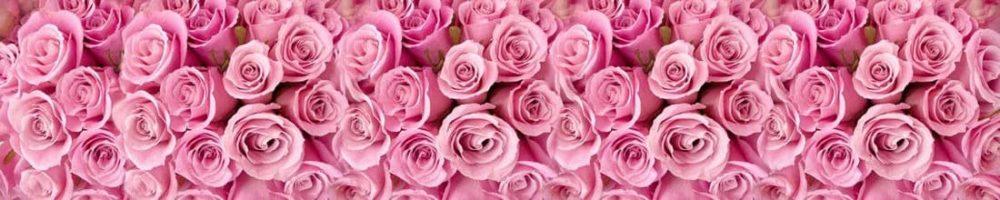 <span  class="uc_style_uc_tiles_grid_image_elementor_uc_items_attribute_title" style="color:#ffffff;">skinali 0680</span>