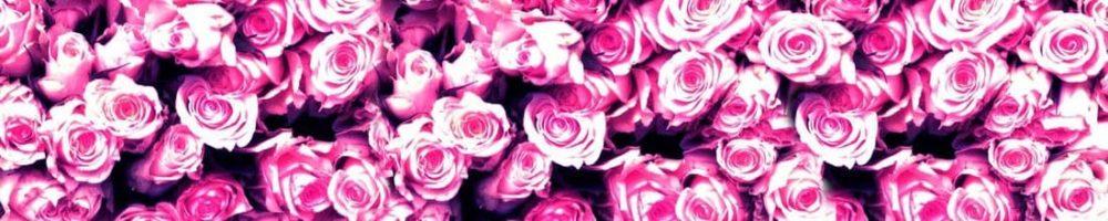 <span  class="uc_style_uc_tiles_grid_image_elementor_uc_items_attribute_title" style="color:#ffffff;">skinali 0684</span>
