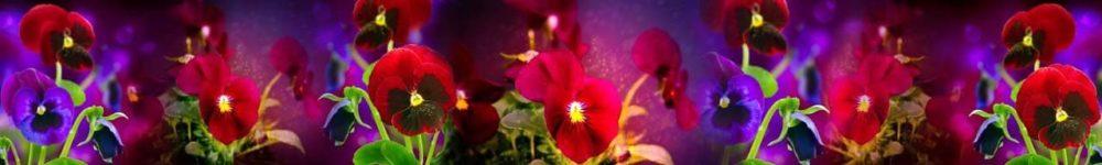 <span  class="uc_style_uc_tiles_grid_image_elementor_uc_items_attribute_title" style="color:#ffffff;">skinali 0692</span>