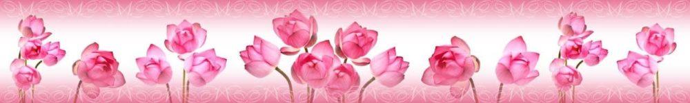 <span  class="uc_style_uc_tiles_grid_image_elementor_uc_items_attribute_title" style="color:#ffffff;">skinali 0822</span>