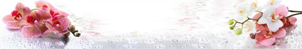 <span  class="uc_style_uc_tiles_grid_image_elementor_uc_items_attribute_title" style="color:#ffffff;">skinali 0991</span>
