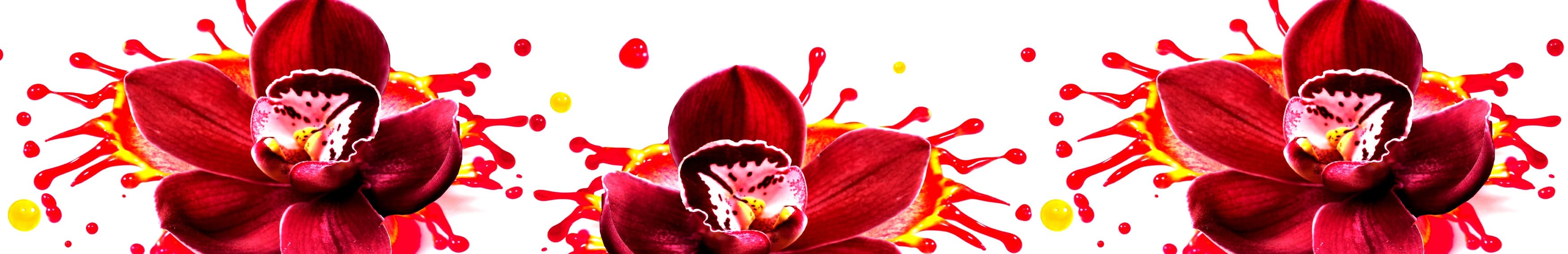 <span  class="uc_style_uc_tiles_grid_image_elementor_uc_items_attribute_title" style="color:#ffffff;">skinali-10148</span>