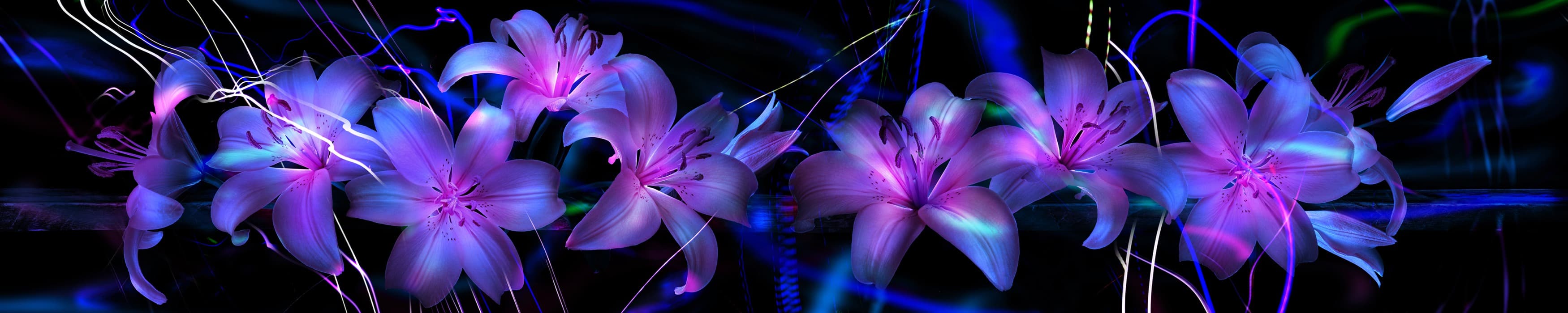 <span  class="uc_style_uc_tiles_grid_image_elementor_uc_items_attribute_title" style="color:#ffffff;">skinali-10170</span>