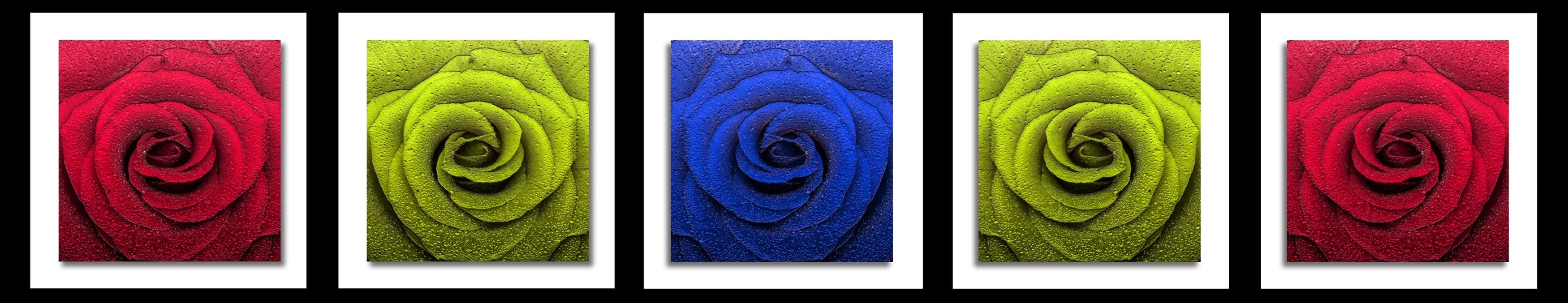 <span  class="uc_style_uc_tiles_grid_image_elementor_uc_items_attribute_title" style="color:#ffffff;">skinali-10414</span>