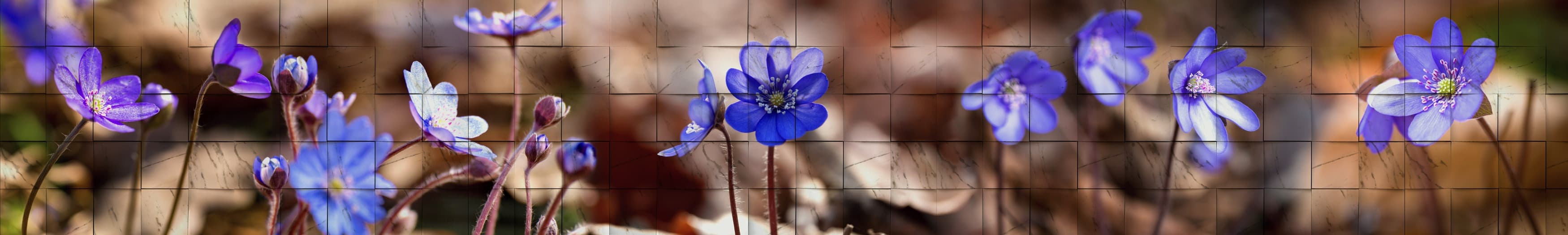 <span  class="uc_style_uc_tiles_grid_image_elementor_uc_items_attribute_title" style="color:#ffffff;">skinali-10440</span>