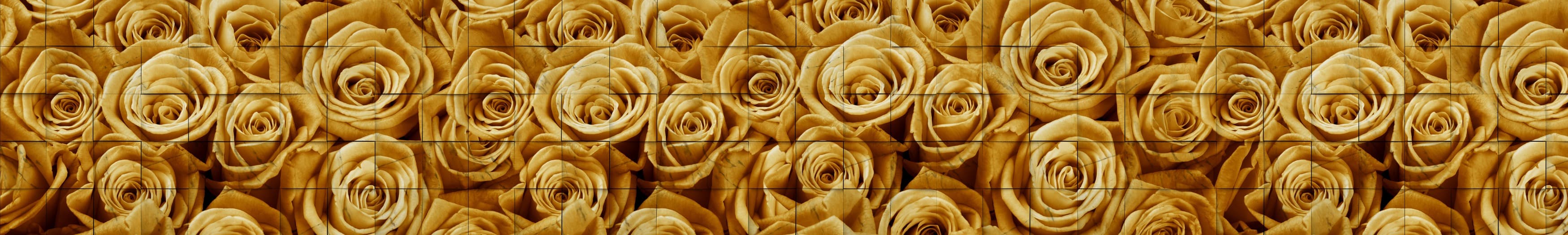 <span  class="uc_style_uc_tiles_grid_image_elementor_uc_items_attribute_title" style="color:#ffffff;">skinali-10444</span>