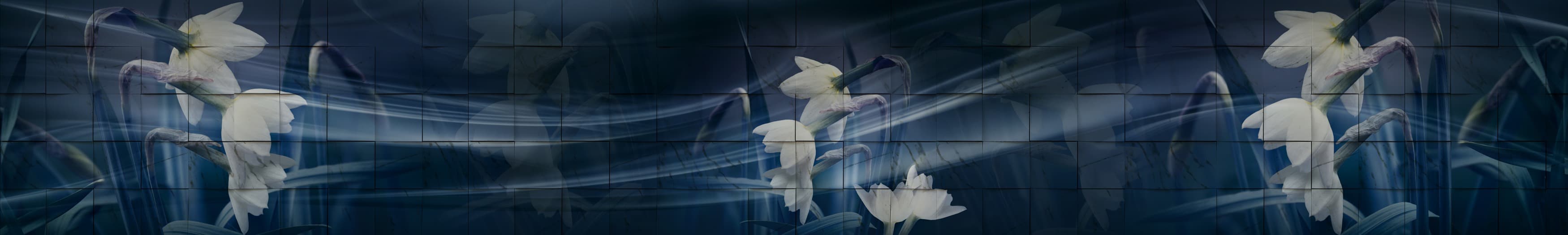 <span  class="uc_style_uc_tiles_grid_image_elementor_uc_items_attribute_title" style="color:#ffffff;">skinali-10451</span>