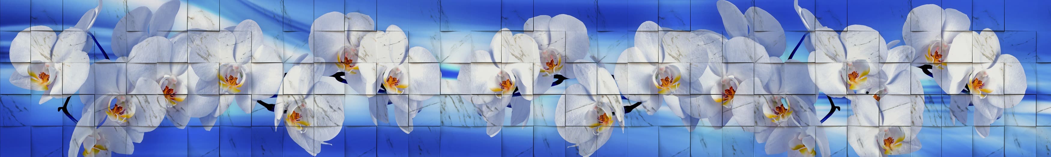 <span  class="uc_style_uc_tiles_grid_image_elementor_uc_items_attribute_title" style="color:#ffffff;">skinali-10453</span>