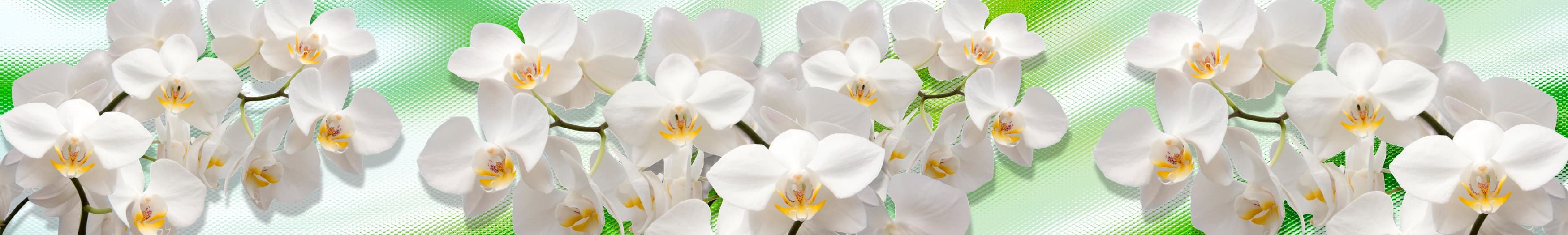 <span  class="uc_style_uc_tiles_grid_image_elementor_uc_items_attribute_title" style="color:#ffffff;">skinali-10512</span>