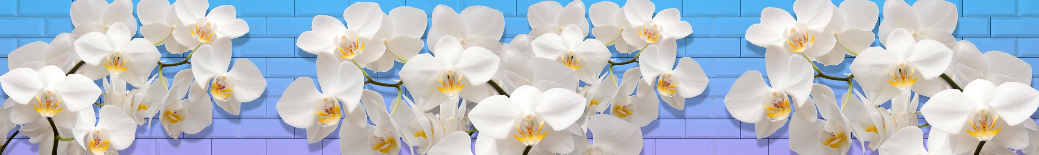 <span  class="uc_style_uc_tiles_grid_image_elementor_uc_items_attribute_title" style="color:#ffffff;">skinali-10513</span>