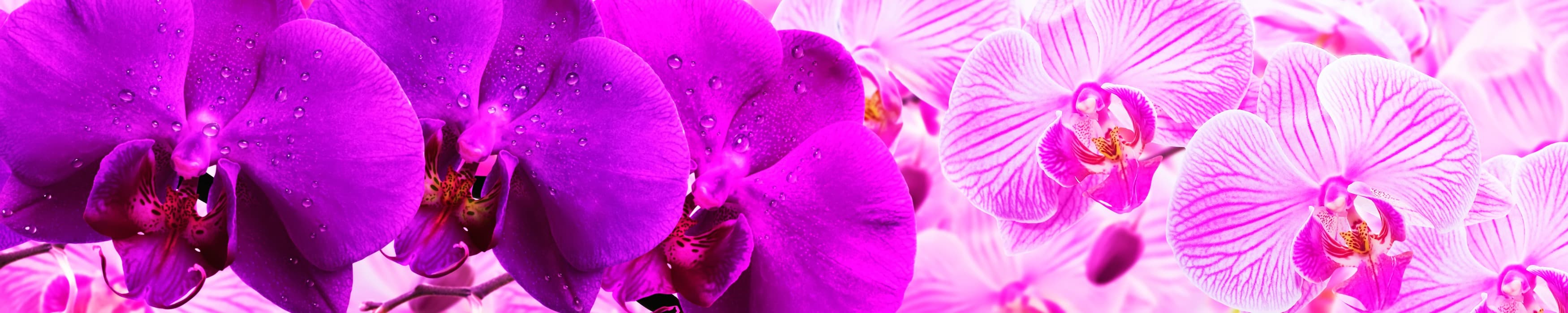 <span  class="uc_style_uc_tiles_grid_image_elementor_uc_items_attribute_title" style="color:#ffffff;">skinali-10536</span>