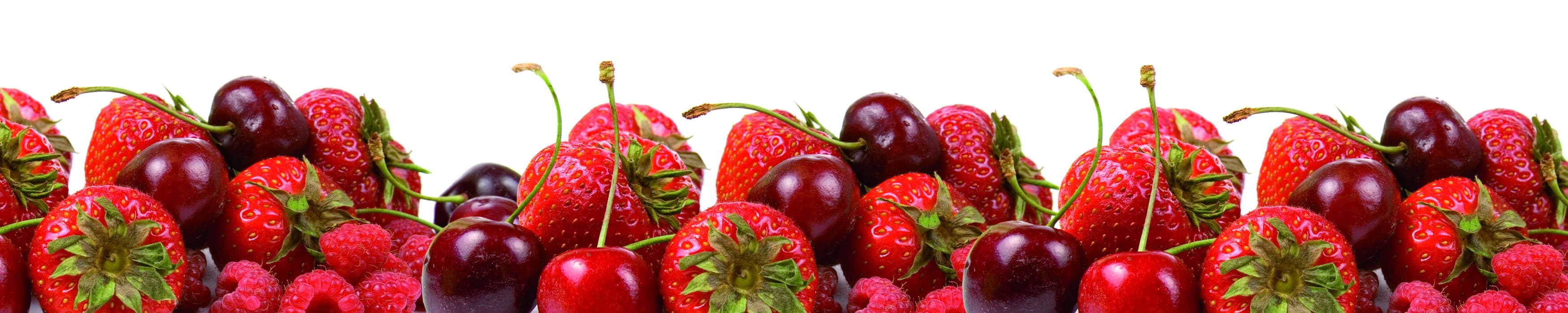 <span  class="uc_style_uc_tiles_grid_image_elementor_uc_items_attribute_title" style="color:#ffffff;">skinali-10546</span>