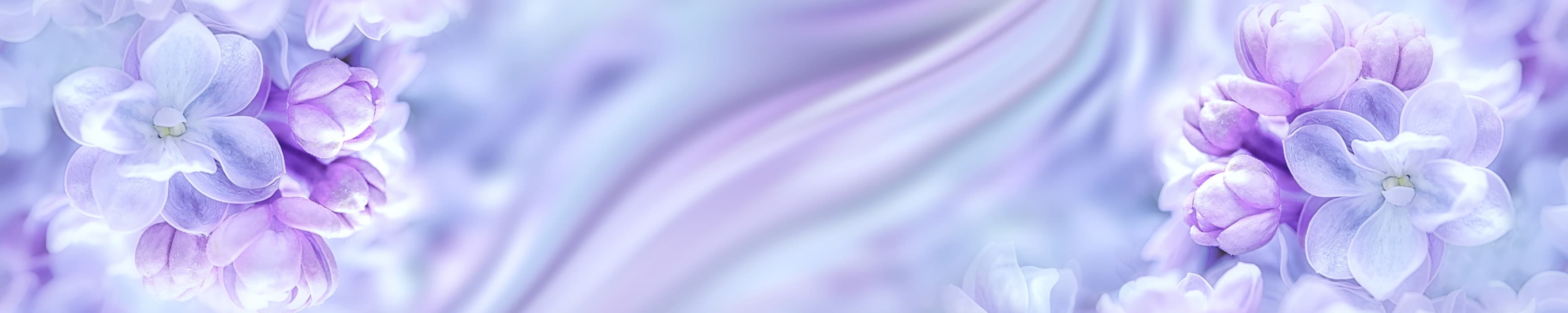 <span  class="uc_style_uc_tiles_grid_image_elementor_uc_items_attribute_title" style="color:#ffffff;">skinali-10549</span>