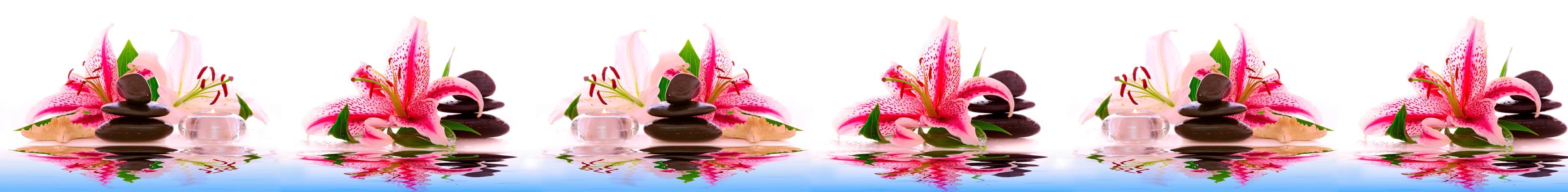 <span  class="uc_style_uc_tiles_grid_image_elementor_uc_items_attribute_title" style="color:#ffffff;">skinali-10585</span>