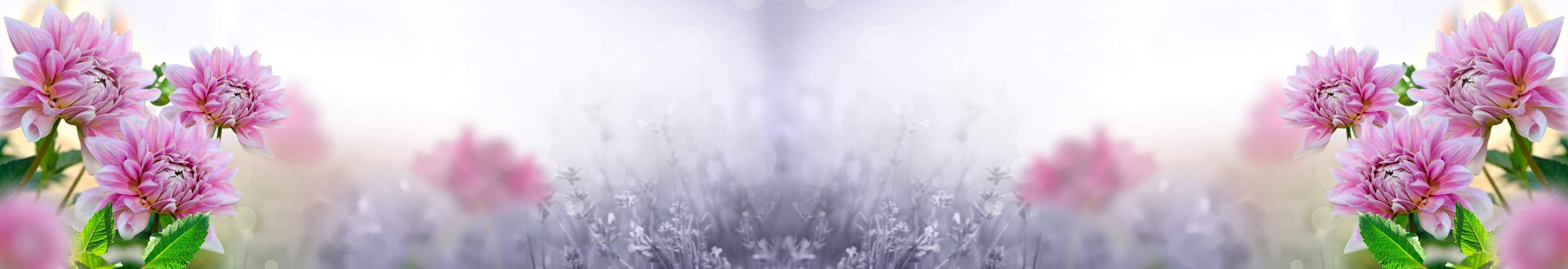 <span  class="uc_style_uc_tiles_grid_image_elementor_uc_items_attribute_title" style="color:#ffffff;">skinali-10587</span>