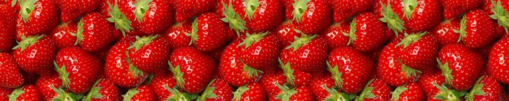 <span  class="uc_style_uc_tiles_grid_image_elementor_uc_items_attribute_title" style="color:#ffffff;">skinali-10598</span>