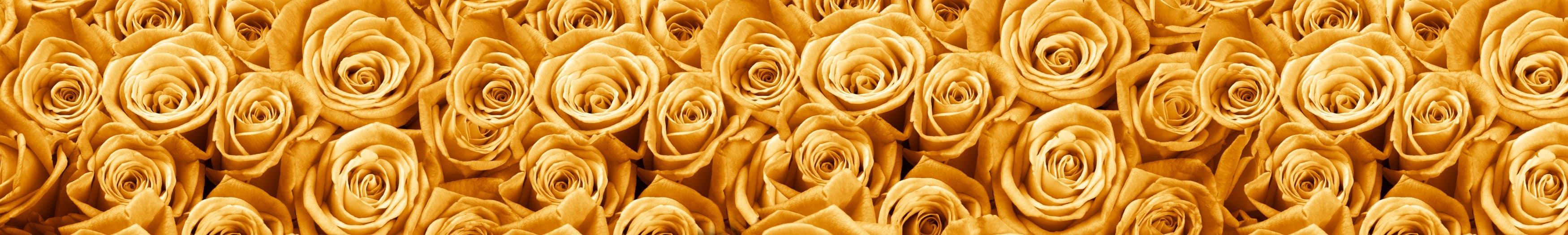 <span  class="uc_style_uc_tiles_grid_image_elementor_uc_items_attribute_title" style="color:#ffffff;">skinali-10605</span>