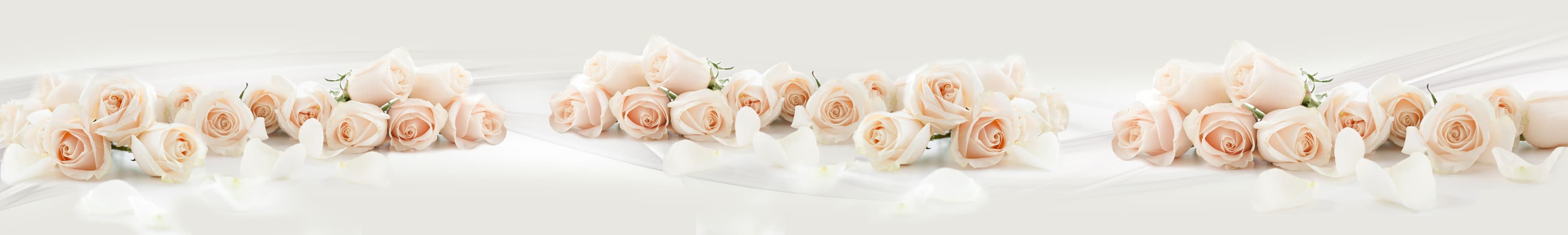 <span  class="uc_style_uc_tiles_grid_image_elementor_uc_items_attribute_title" style="color:#ffffff;">skinali-10619</span>