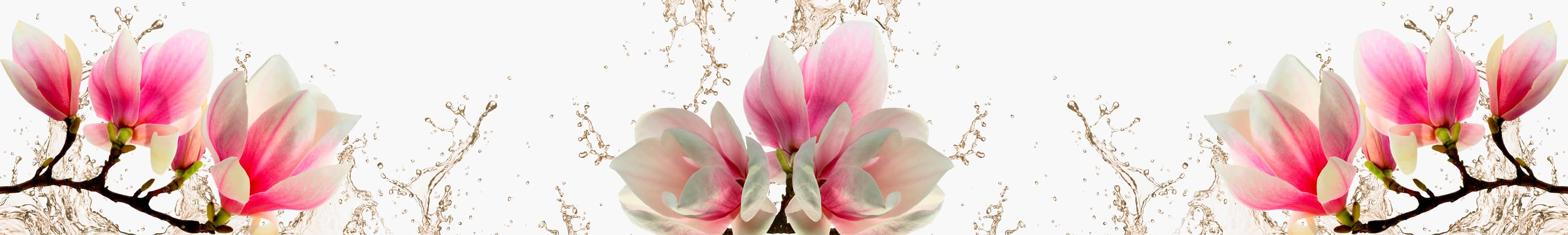 <span  class="uc_style_uc_tiles_grid_image_elementor_uc_items_attribute_title" style="color:#ffffff;">skinali-10644</span>