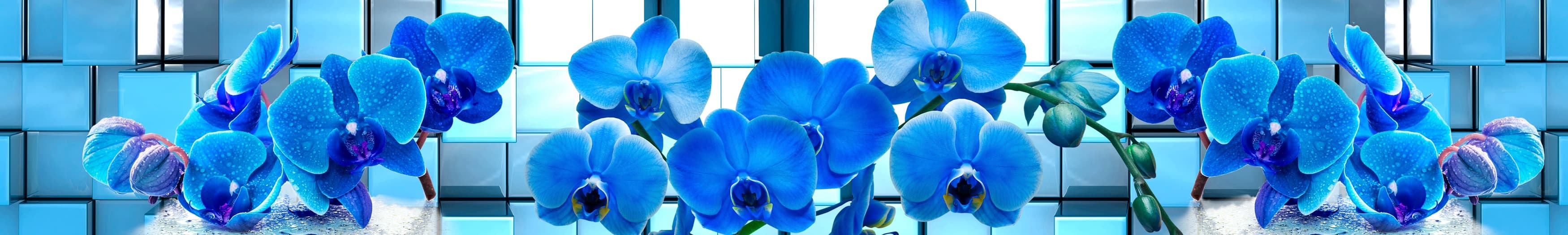 <span  class="uc_style_uc_tiles_grid_image_elementor_uc_items_attribute_title" style="color:#ffffff;">skinali-10652</span>