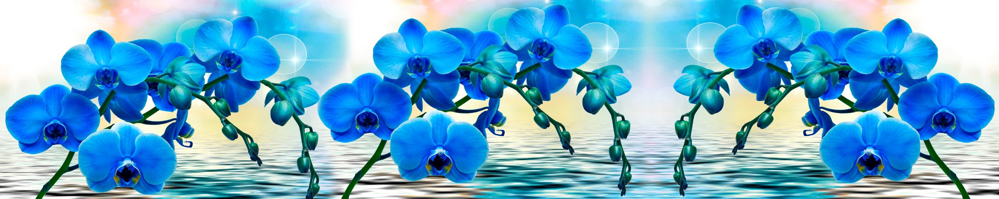 <span  class="uc_style_uc_tiles_grid_image_elementor_uc_items_attribute_title" style="color:#ffffff;">skinali-10663</span>